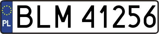 BLM41256