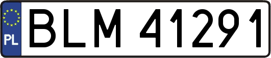 BLM41291