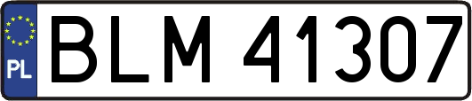 BLM41307