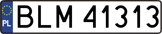BLM41313
