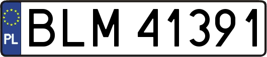 BLM41391