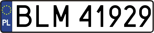 BLM41929