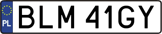 BLM41GY