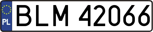 BLM42066