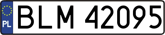 BLM42095