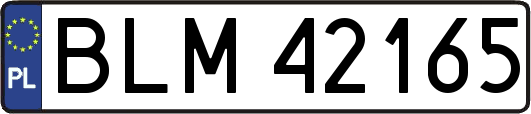 BLM42165
