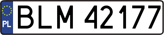 BLM42177