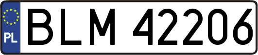 BLM42206