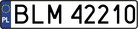 BLM42210