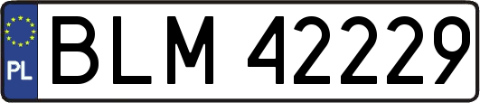 BLM42229