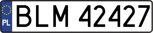 BLM42427