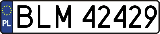 BLM42429
