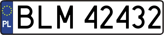 BLM42432