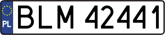 BLM42441