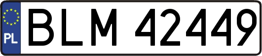 BLM42449