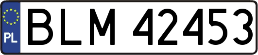 BLM42453