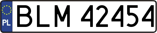 BLM42454
