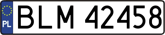 BLM42458