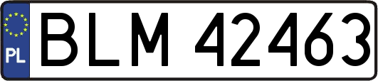 BLM42463