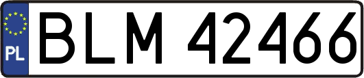 BLM42466