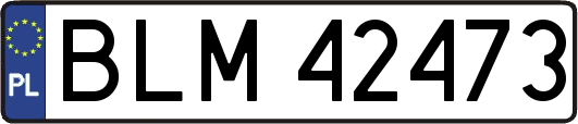 BLM42473