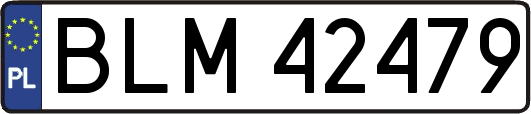 BLM42479