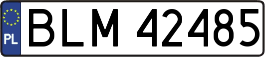 BLM42485