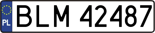 BLM42487