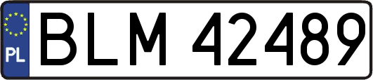 BLM42489