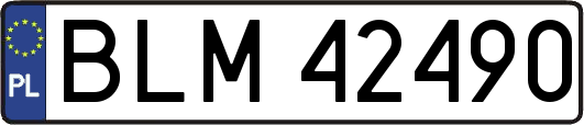 BLM42490