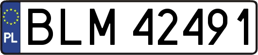 BLM42491