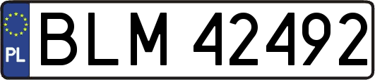 BLM42492