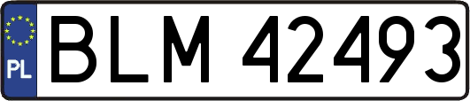 BLM42493