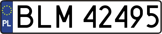 BLM42495
