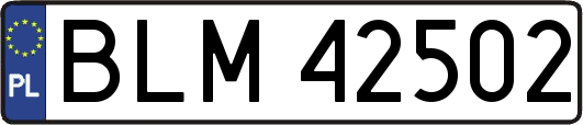 BLM42502