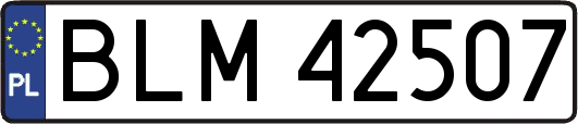 BLM42507