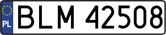BLM42508