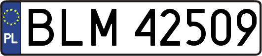 BLM42509