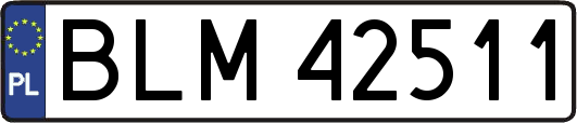 BLM42511