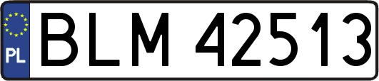 BLM42513
