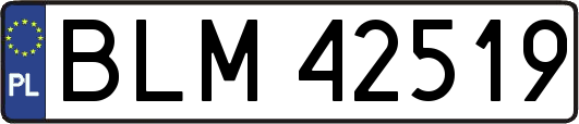BLM42519