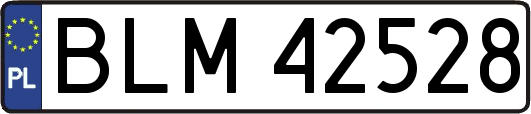 BLM42528