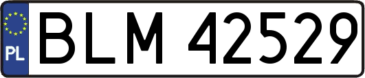 BLM42529