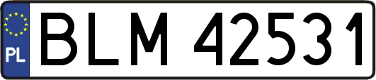 BLM42531