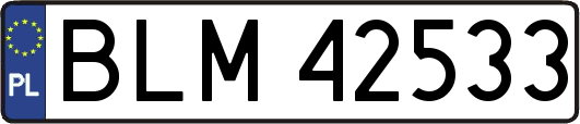 BLM42533