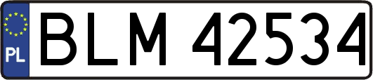 BLM42534