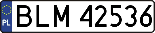 BLM42536