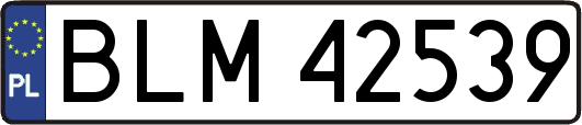 BLM42539