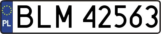 BLM42563