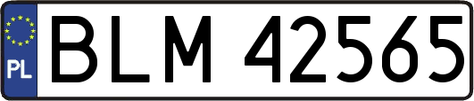 BLM42565